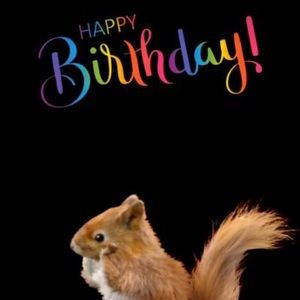 Meet your Posher, Blythe